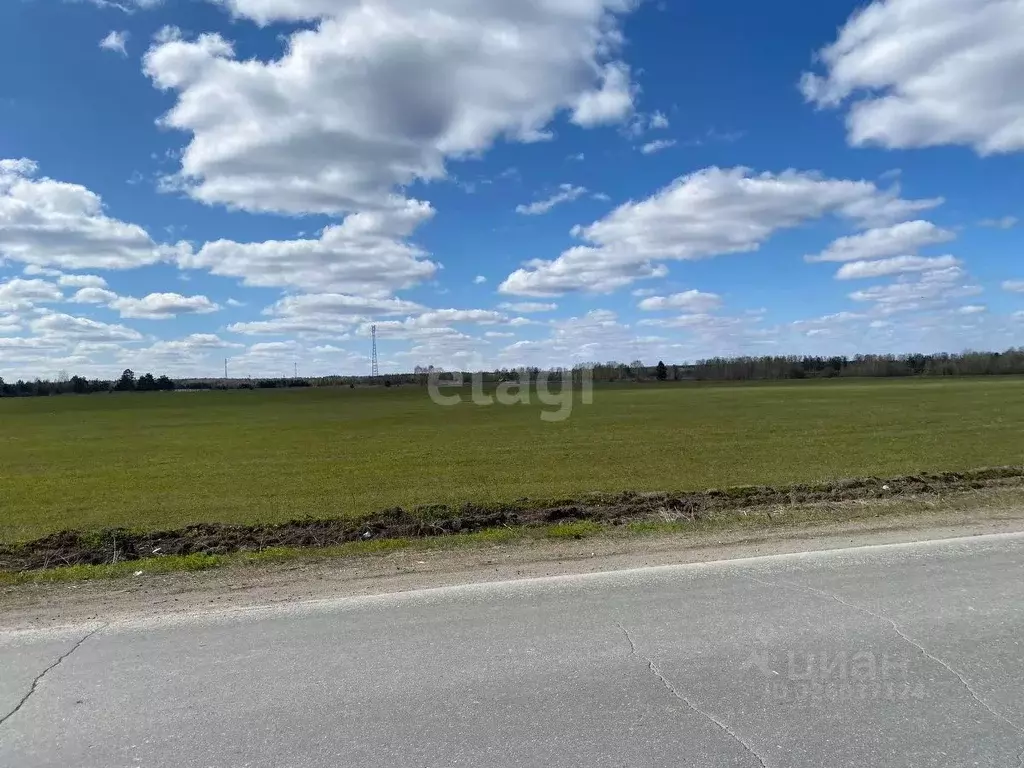 Участок в Свердловская область, Нижнесергинский район, Дружинино пгт  ... - Фото 1