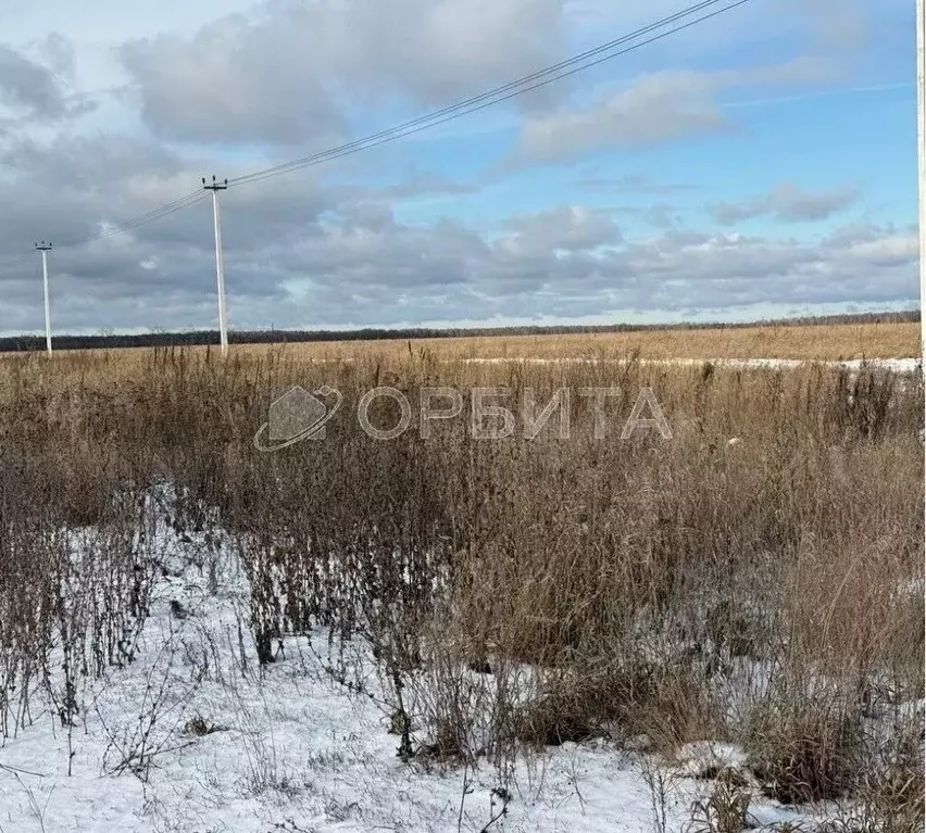 Участок в Тюменская область, Тюменский муниципальный округ, с. ... - Фото 2