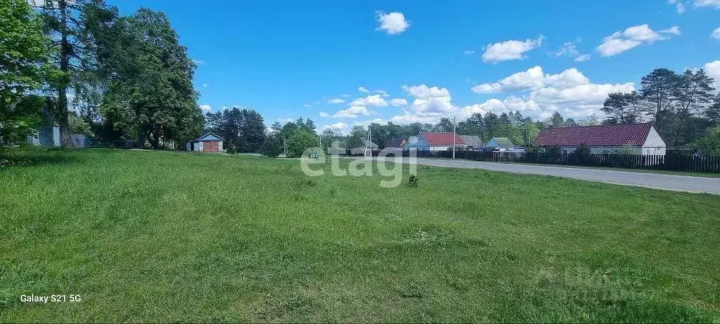 Участок в Калужская область, Думиничский район, с. Чернышено  (30.0 ... - Фото 1