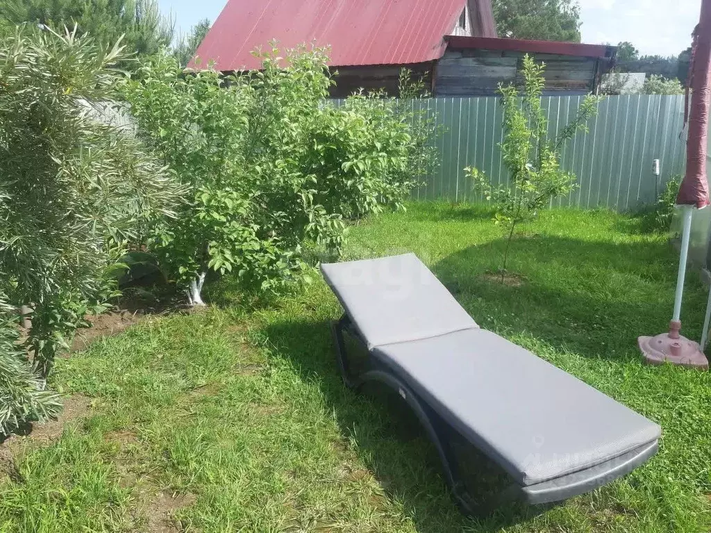 Участок в Новосибирская область, Новосибирск Любитель СНТ, 163 (4.19 ... - Фото 2