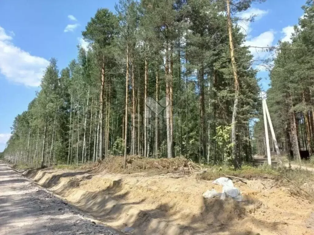 Участок в Ленинградская область, Всеволожск  (7.72 сот.) - Фото 0