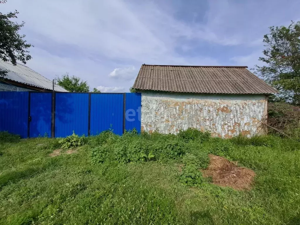 Дом в Белгородская область, Валуйский городской округ, с. Принцевка ... - Фото 0