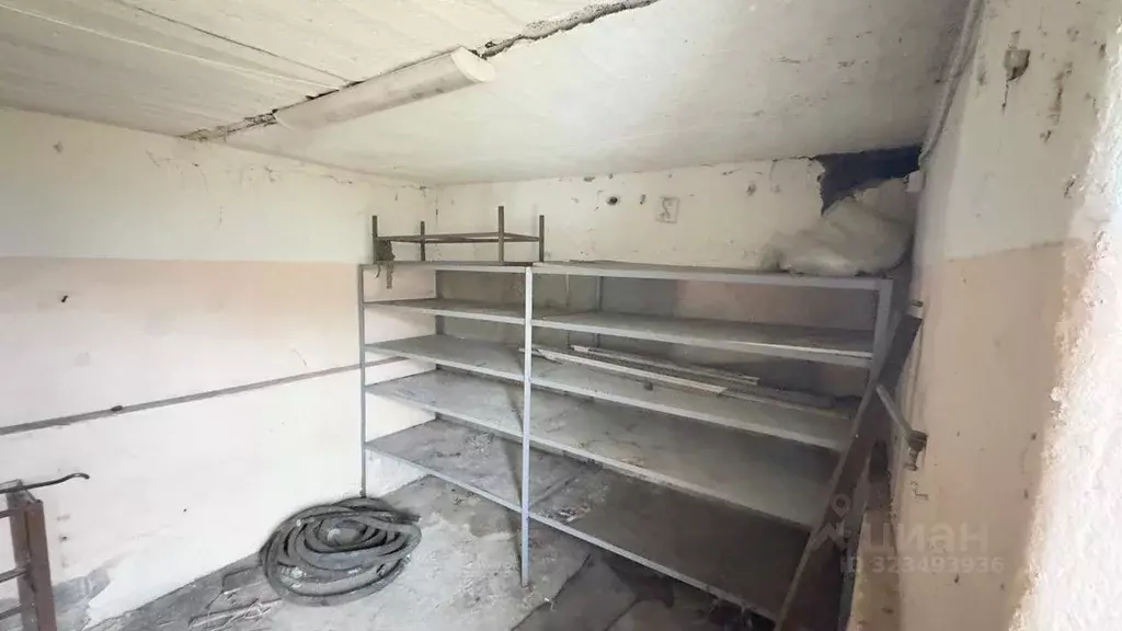 Торговая площадь в Калужская область, Таруса ул. Ленина, 68 (20 м) - Фото 1