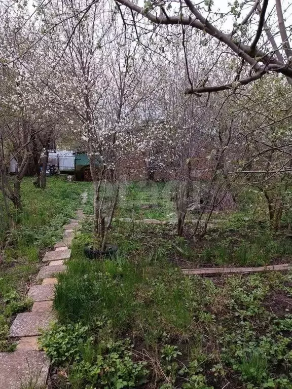Дом в Ростовская область, Ростов-на-Дону 1-я Кондитерская ул. (30 м) - Фото 0