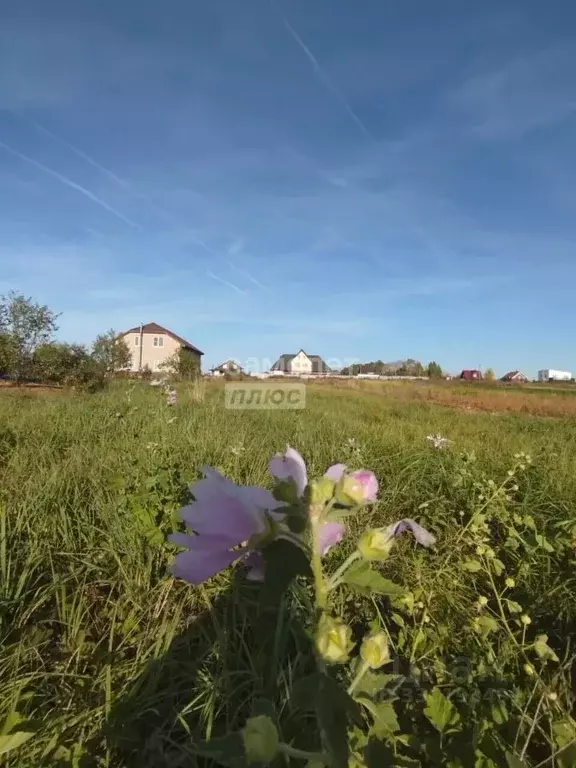 Участок в Нижегородская область, Богородский муниципальный округ, д. ... - Фото 2