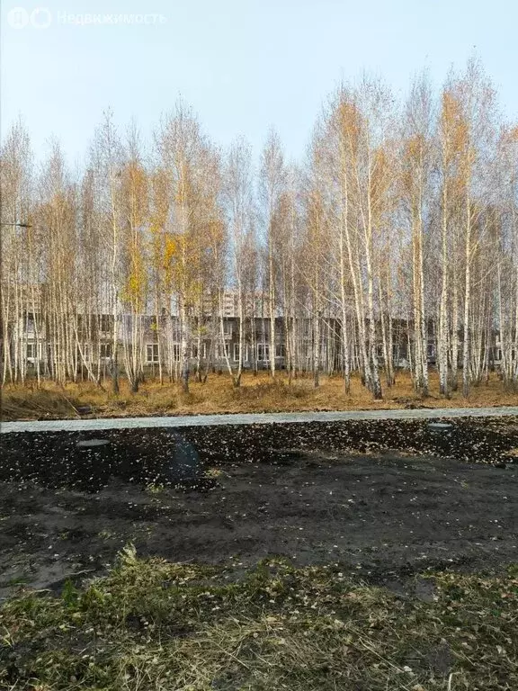 Дом в Курган, жилой район Заозёрный, 15-й микрорайон, 9 (106.2 м) - Фото 2