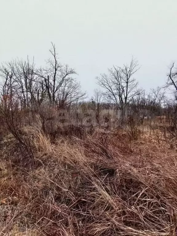 Участок 10 сот. (СНТ, ДНП) - Фото 0