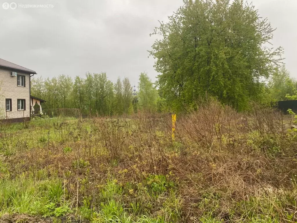 Участок в Владимир, Аграрная улица (9.05 м) - Фото 0
