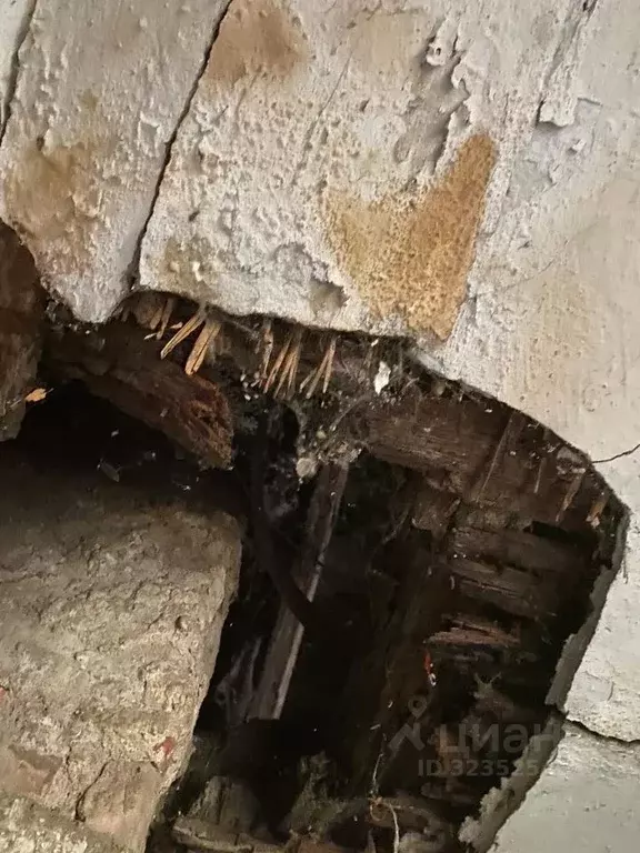 Помещение свободного назначения в Калининградская область, Неманский ... - Фото 2