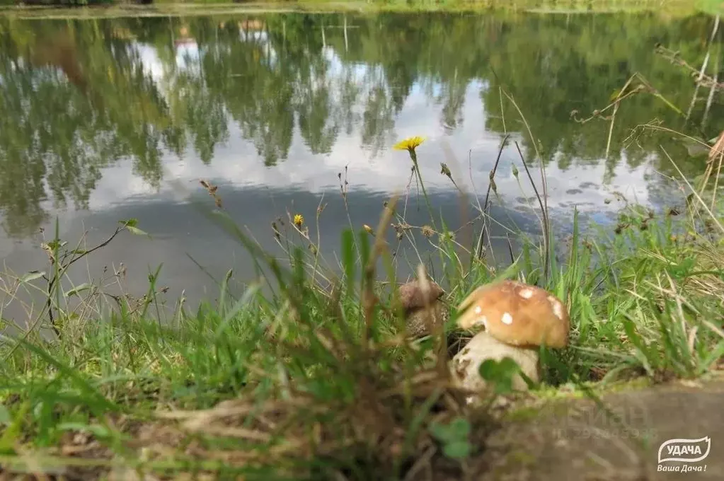 Участок в Калужская область, Малоярославецкий муниципальный округ, ... - Фото 2