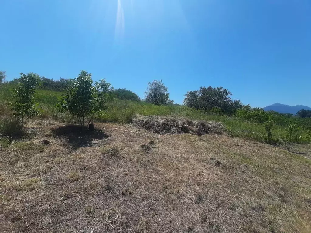 Участок в Ставропольский край, Железноводск городской округ, пос. ... - Фото 2