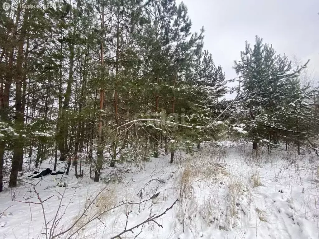 Участок в село Бабяково, Дачная улица (8.5 м) - Фото 0