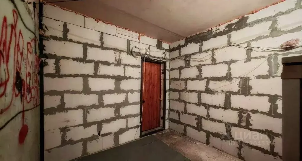Комната Санкт-Петербург ул. Жени Егоровой, 12К1 - Фото 1