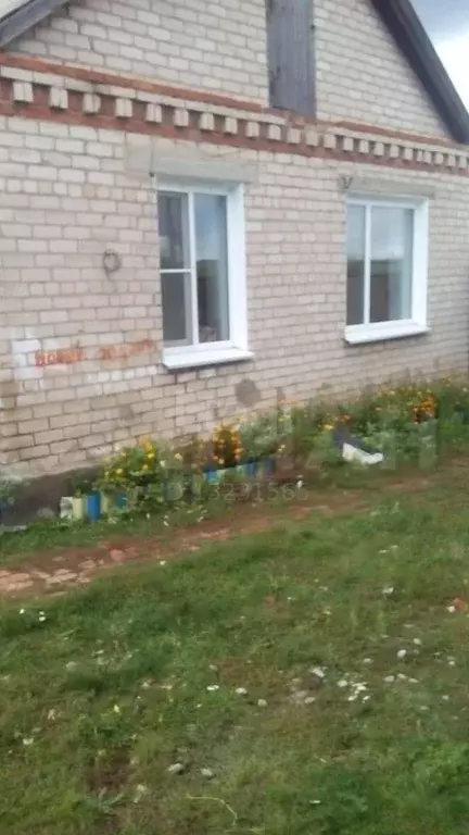 Нижнеусцелемово уйский