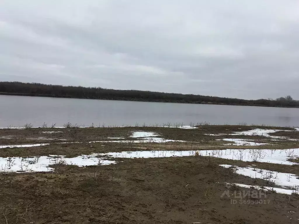Участок в Астраханская область, Енотаевский район, Косикинский ... - Фото 1
