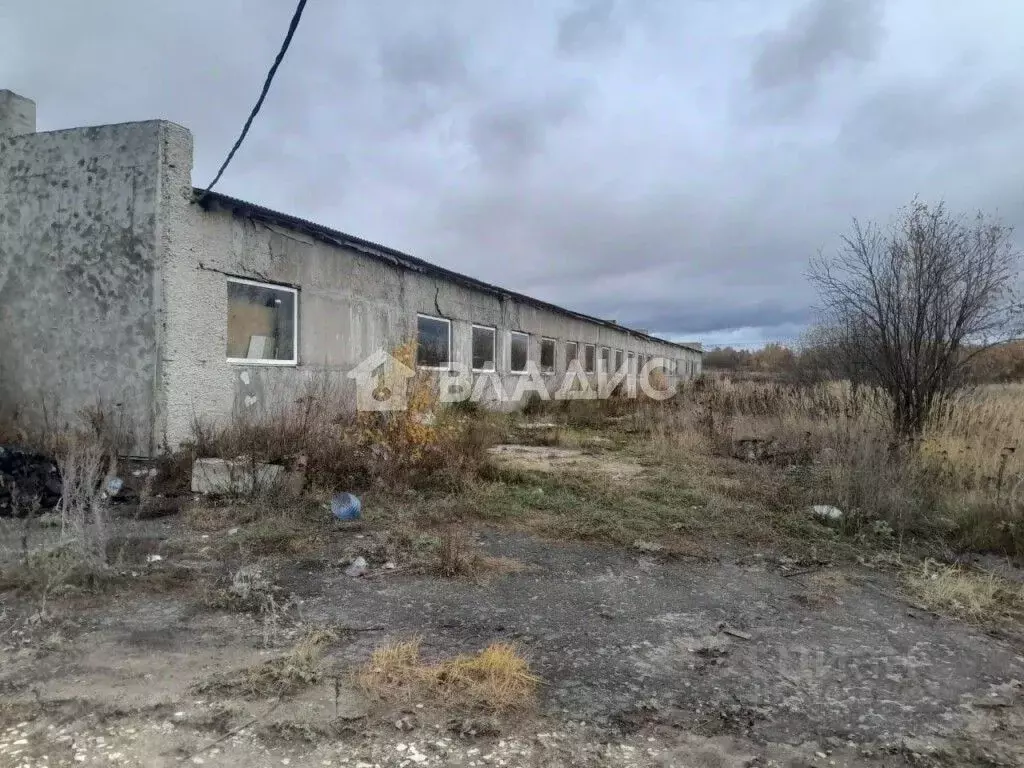 Производственное помещение в Владимирская область, Собинский ... - Фото 0