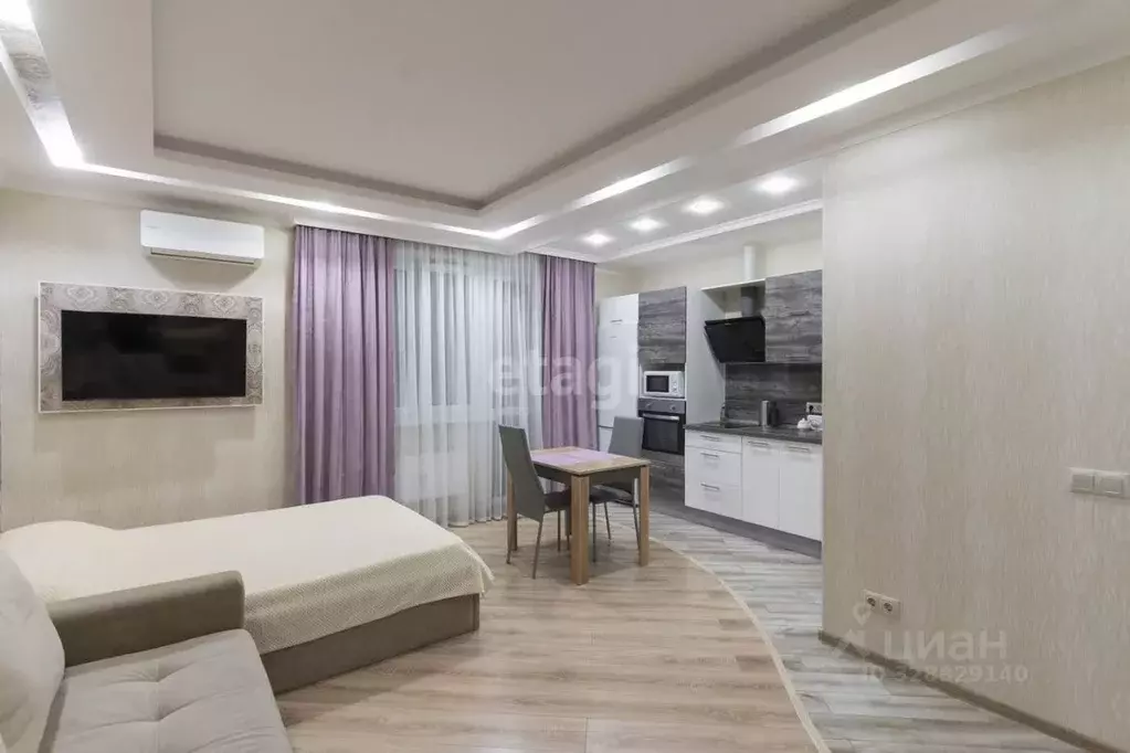 Студия Тюменская область, Тюмень ул. Дмитрия Менделеева, 2 (29.2 м) - Фото 1