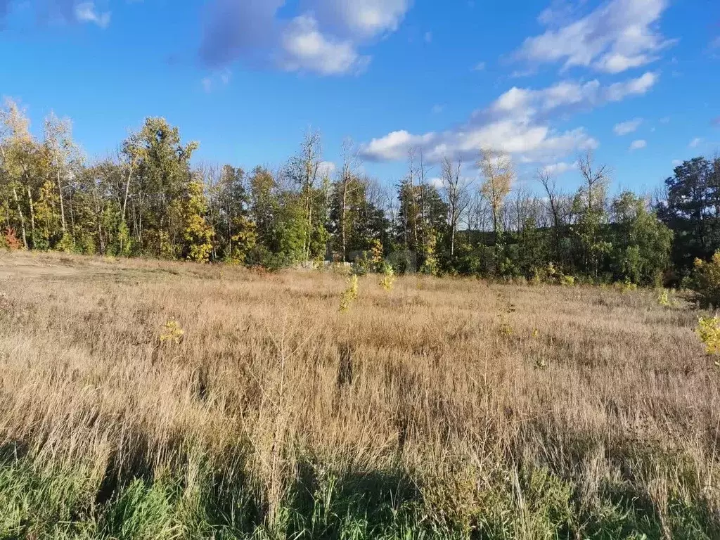 Участок в Белгородская область, Белгородский район, с. Стрелецкое 68 ... - Фото 1