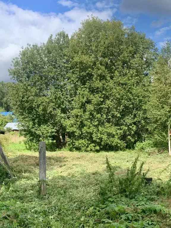 Участок в Новгородская область, Валдай проезд Тракторный (7.7 сот.) - Фото 2