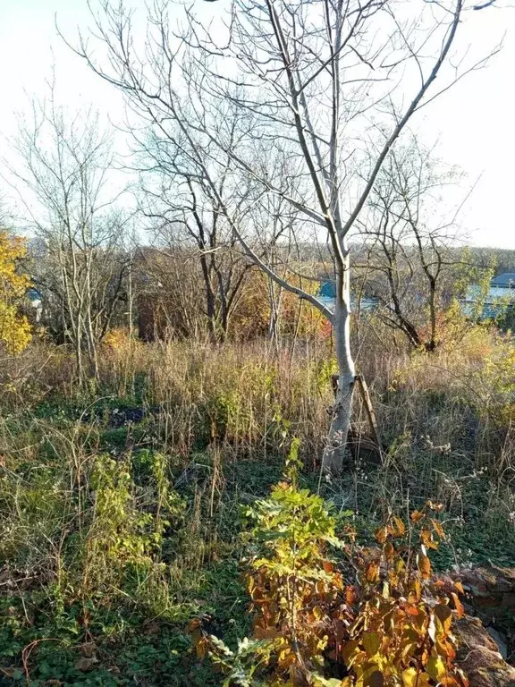 Участок в Ставрополь, садовое товарищество Садовод, 113 (4.52 м) - Фото 1