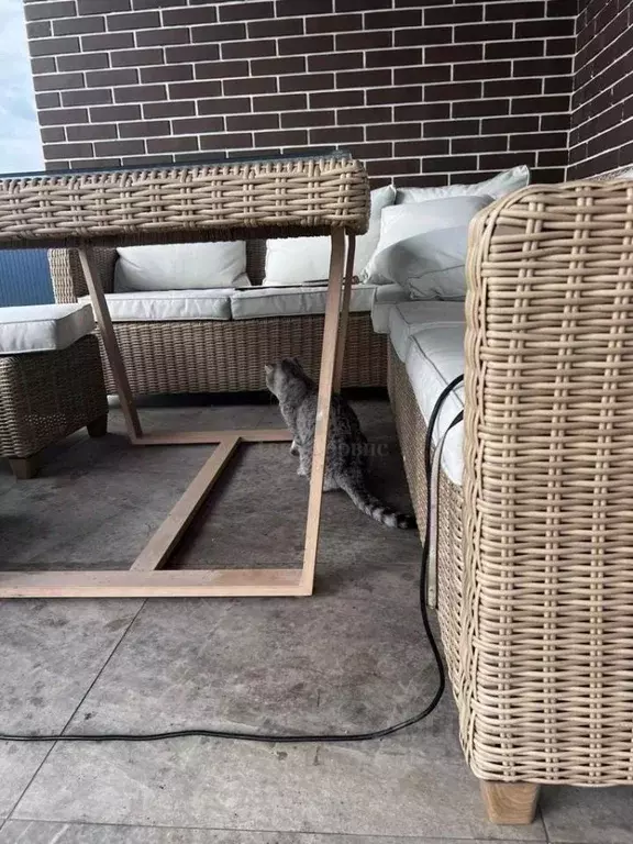 Дом в Тульская область, Новомосковск городской округ, д. Красное ... - Фото 2