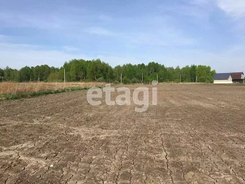 Участок в Тюменская область, Тюменский муниципальный округ, с. ... - Фото 1