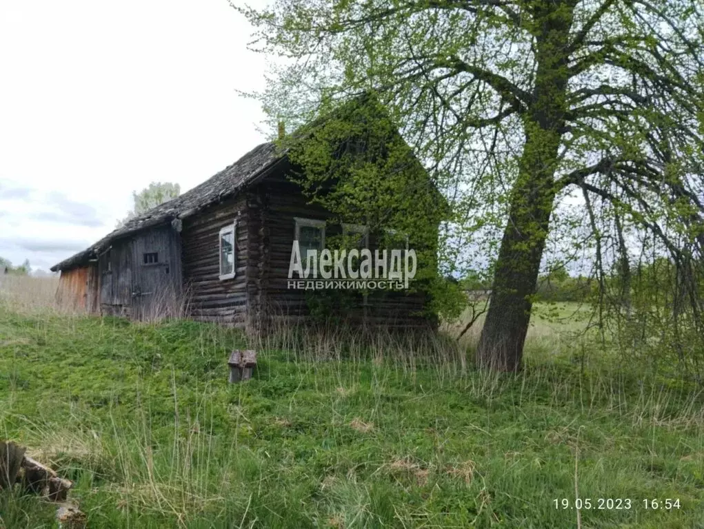 Дом в Новгородская область, Пестовский муниципальный округ, деревня ... - Фото 2