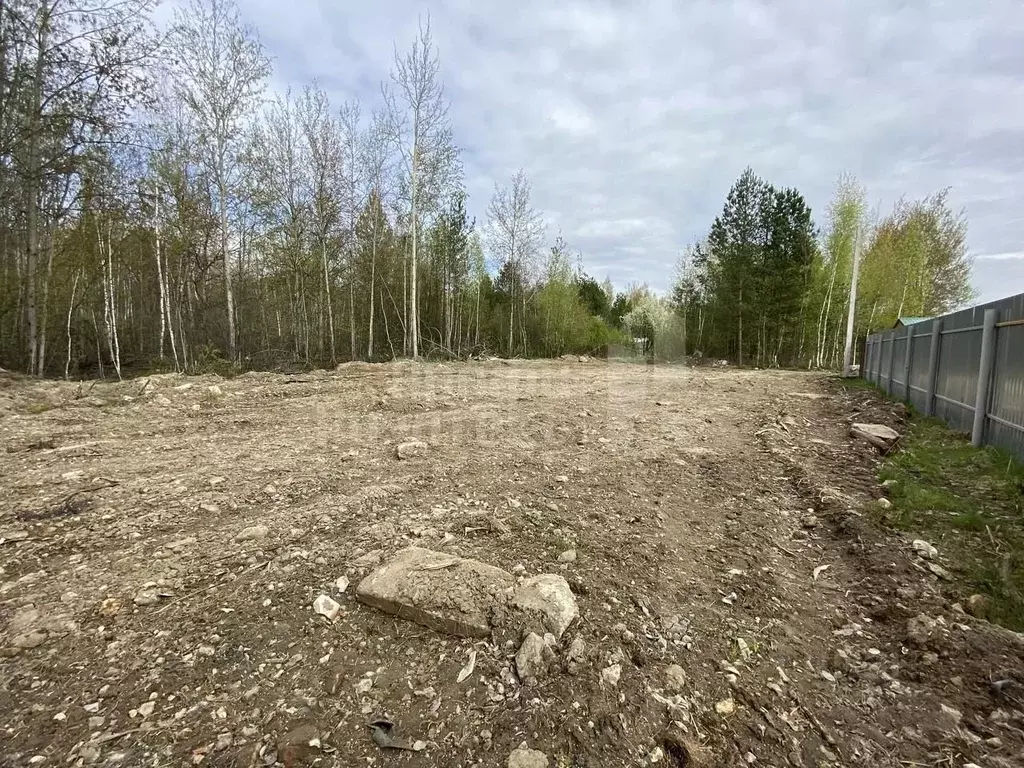 Участок в Нижегородская область, Нижний Новгород Станция Горький ... - Фото 1