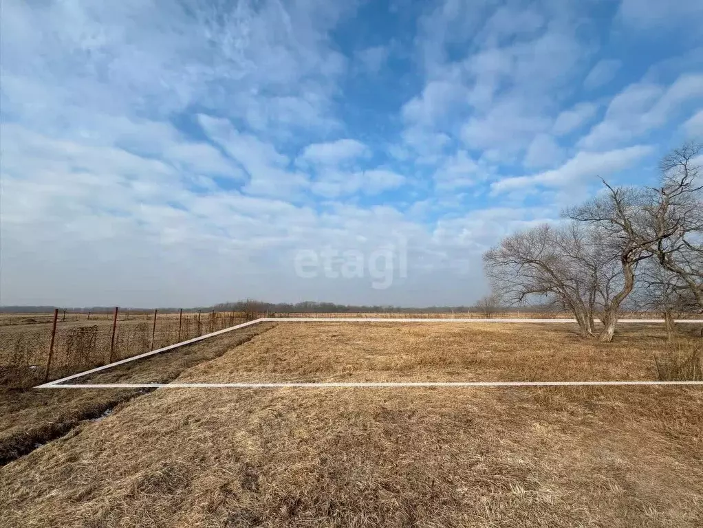 Участок в Приморский край, Артемовский городской округ, с. Кролевцы ... - Фото 0