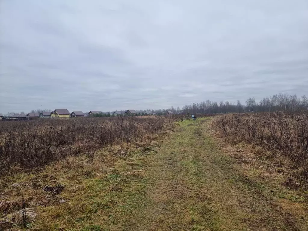Участок в Владимирская область, Александровский муниципальный округ, ... - Фото 2