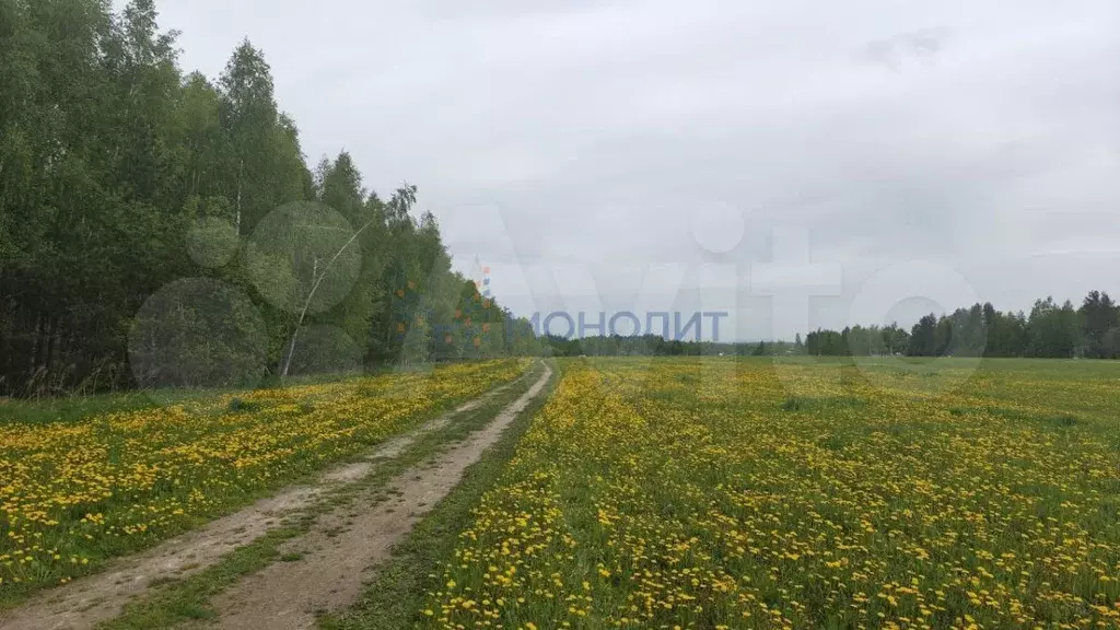 Участок 9 сот. (СНТ, ДНП) - Фото 0