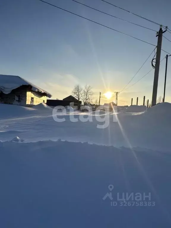 Участок в Ямало-Ненецкий АО, Новый Уренгой Лира ДНТ, ул. Уютная, 1 ... - Фото 1