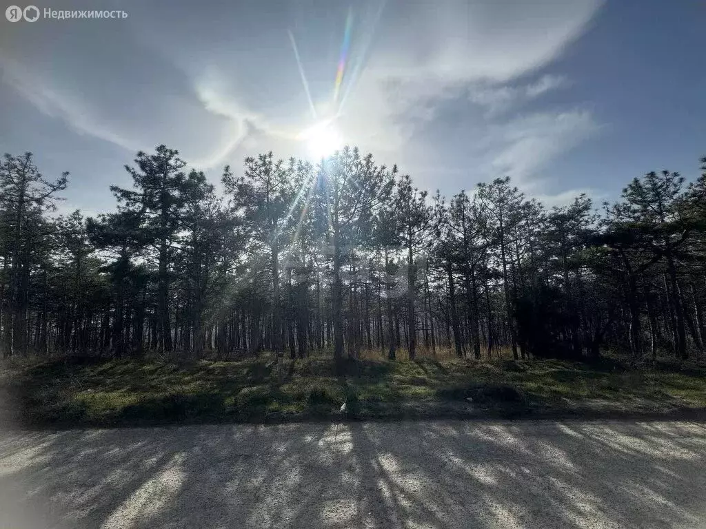 Участок в Республика Крым, муниципальный округ Алушта, посёлок ... - Фото 2