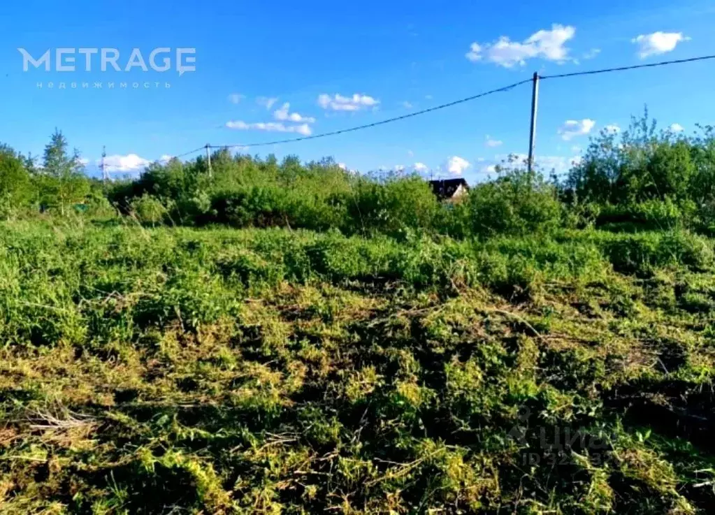 Участок в Новосибирская область, Колыванский район, Север ТСН 172 (7.5 ... - Фото 1