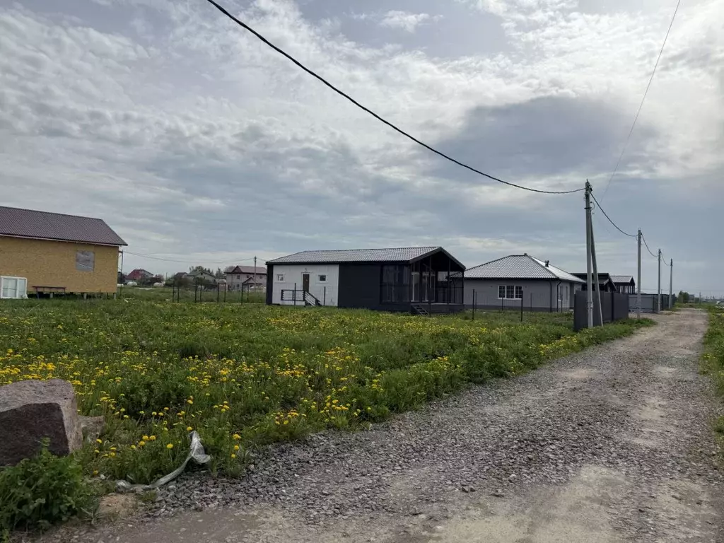 Участок в Ленинградская область, Ломоносовский район, Русско-Высоцкое ... - Фото 2