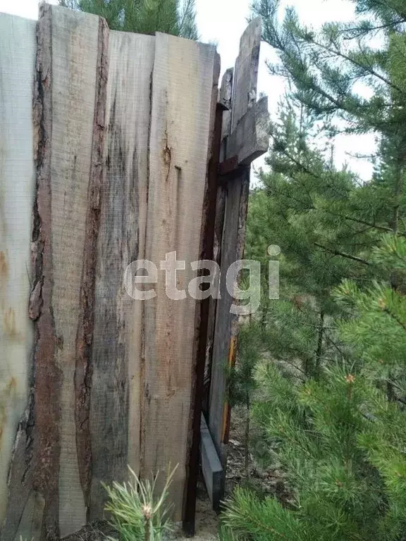 Участок в Бурятия, Прибайкальский район, с. Турунтаево, Солнечный мкр  ... - Фото 2