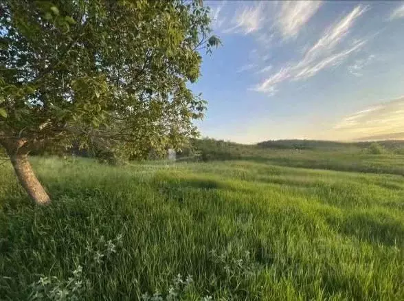 Участок в Крым, Белогорский район, Зеленогорское с/пос, с. Яковлевка ... - Фото 1