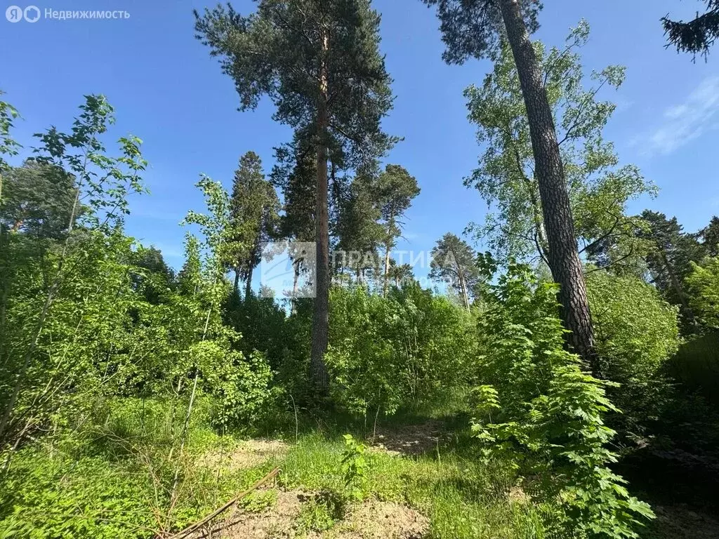 Участок в Пушкино, микрорайон Мамонтовка (12 м) - Фото 0
