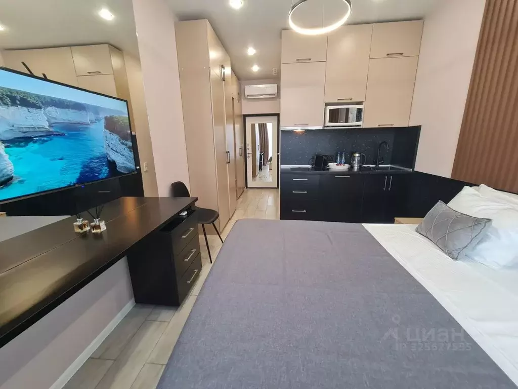 Студия Краснодарский край, Сочи Светлана мкр, ул. Депутатская, 10Б/1 ... - Фото 2