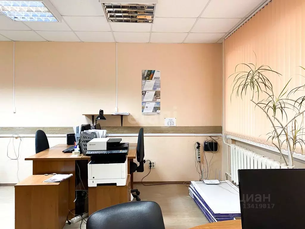 Офис в Брянская область, Брянск ул. Репина, 13 (30.4 м) - Фото 0