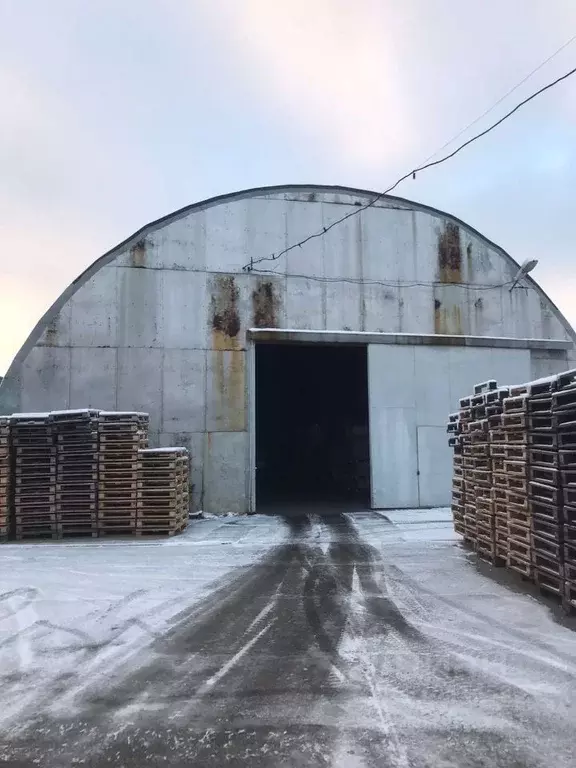 Склад в Московская область, Щелково Буровая ул., 21 (750 м) - Фото 0