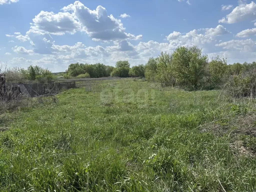 Участок в Саратовская область, Балашовский район, с. Большой Мелик ... - Фото 0