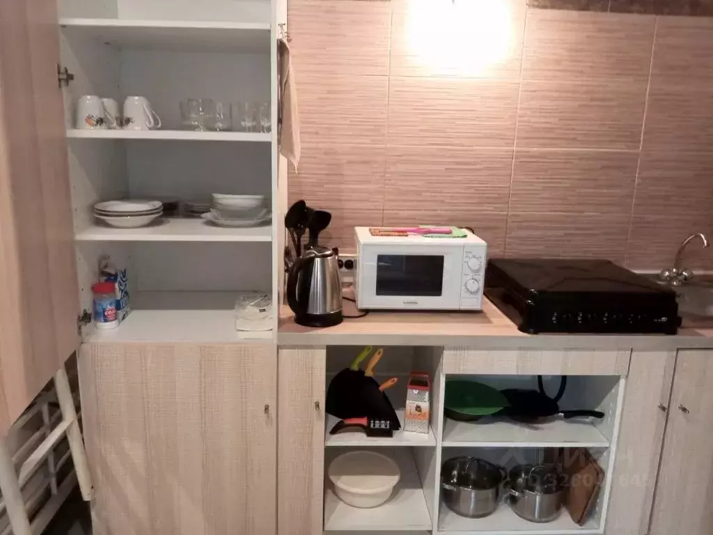 Комната Московская область, Богородский городской округ, д. Белая ул. ... - Фото 1