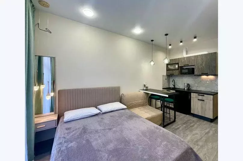 1-к кв. Краснодарский край, Сочи ул. Ленина, 290/7к6 (20.0 м) - Фото 1