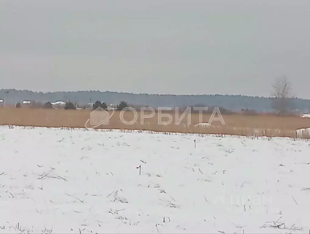 Участок в Тюменская область, Тюменский район, Воскресенье-1 ДНТ  (8.63 ... - Фото 0