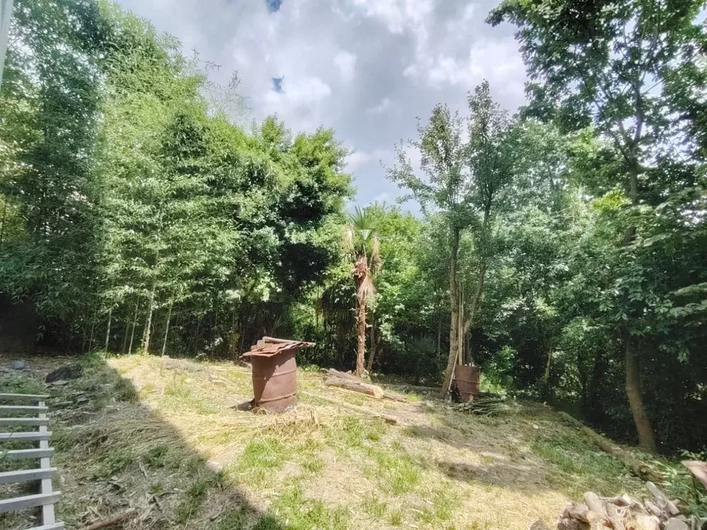 Дом в Краснодарский край, Сочи городской округ, с. Прогресс ул. ... - Фото 2