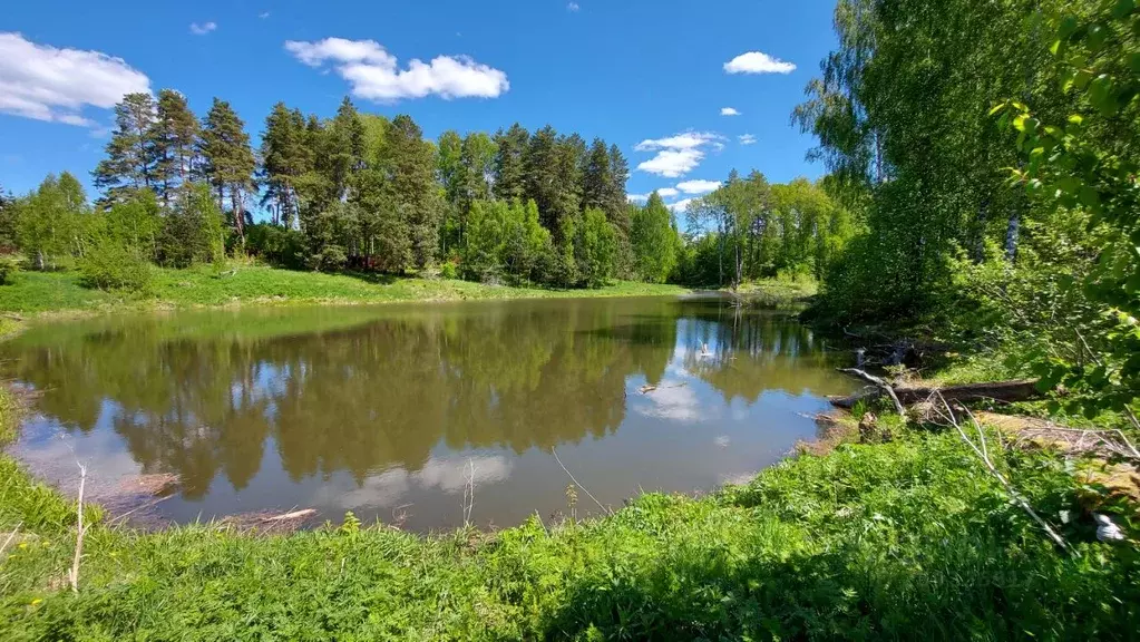 Участок в Тульская область, Заокский район, Страховское с/пос, Пашково ... - Фото 2