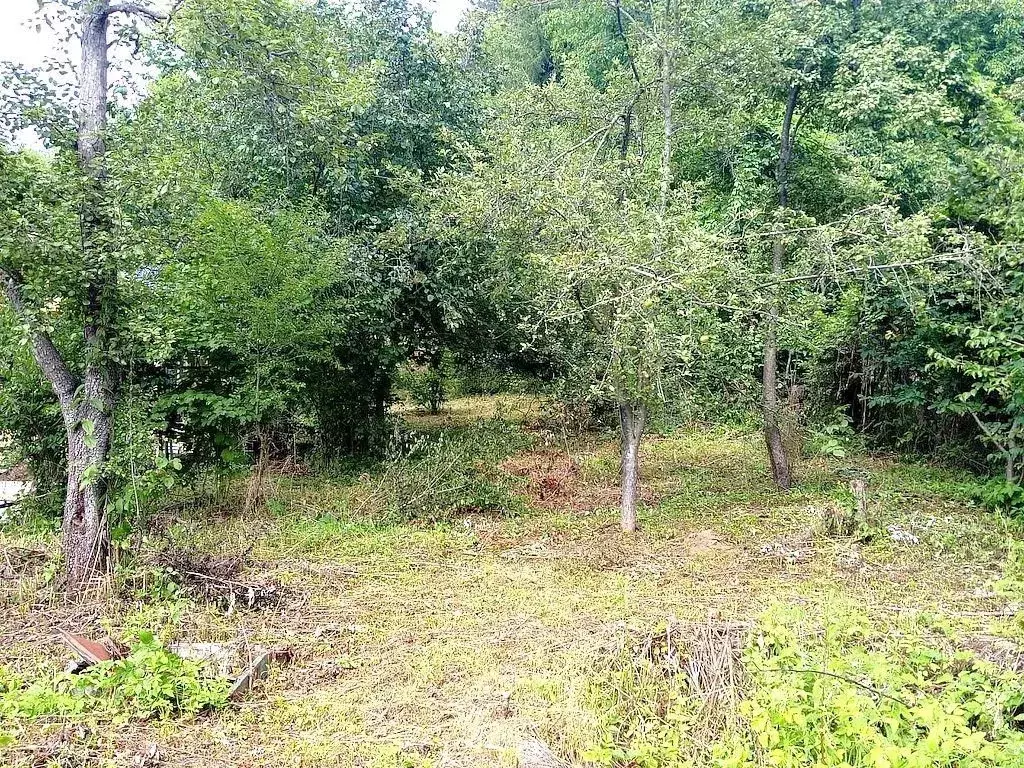 Участок в Ставропольский край, Кисловодск Красная Звезда СТ,  (7.3 ... - Фото 2