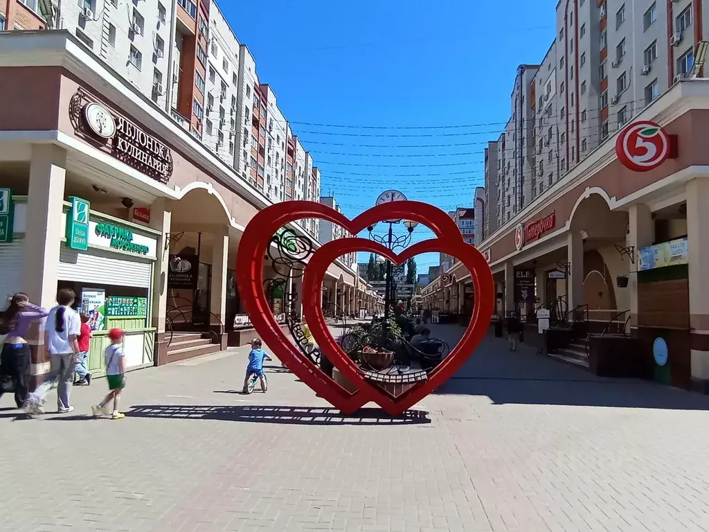 Помещение свободного назначения в Саратовская область, Энгельс ул. ... - Фото 0