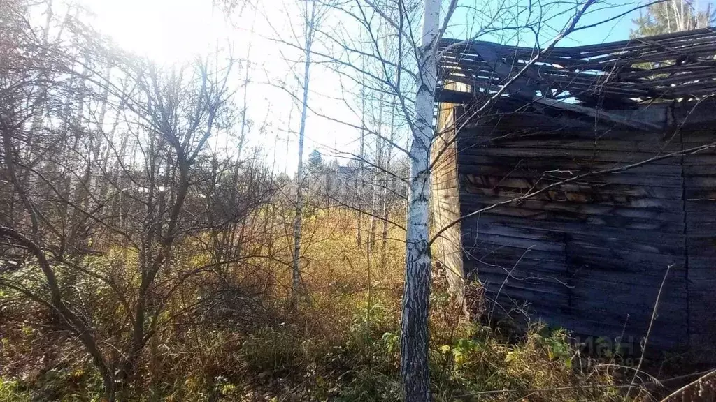 Участок в Новосибирская область, Новосибирский район, Новолуговской ... - Фото 1